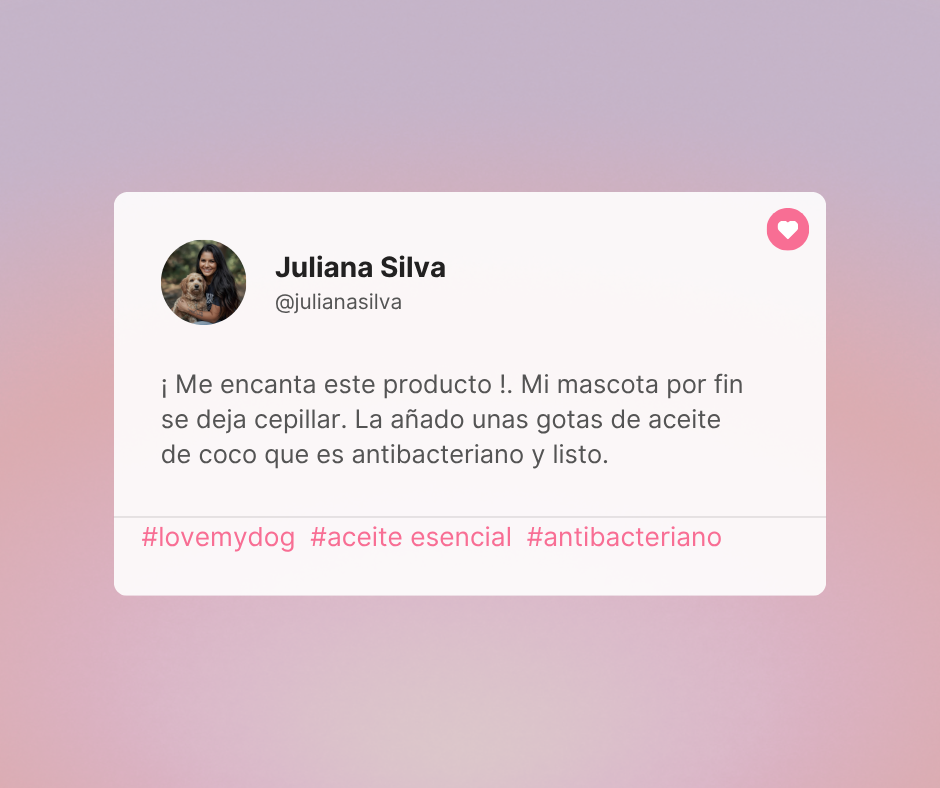 Cepillo con Vapor Brush & Go para mascotas