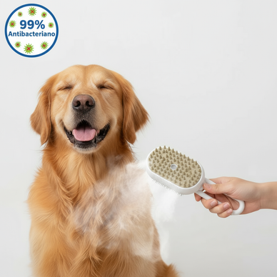 Transforma la rutina de tu mascota hoy.