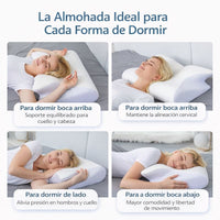 Conforti ErgoMemory Viscoelástica - Soporte Cervical Inteligente