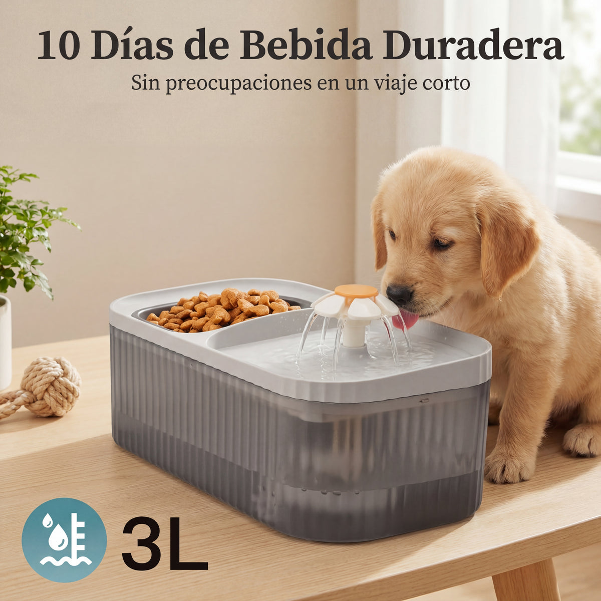 Comedero y bebedero de mascotas con fuente