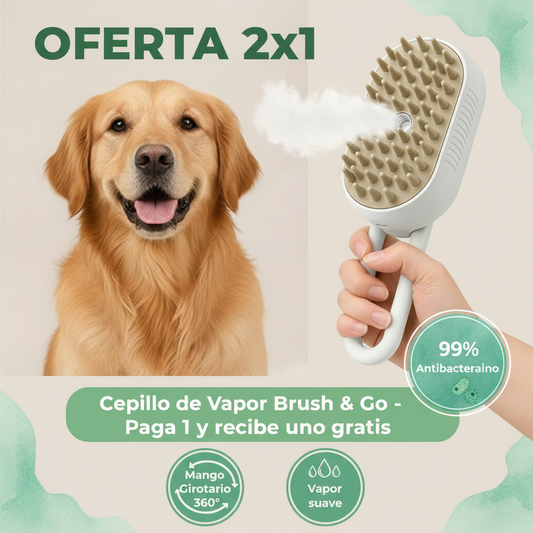 Oferta 2x1 Verde Agua con Ortografía Corregida